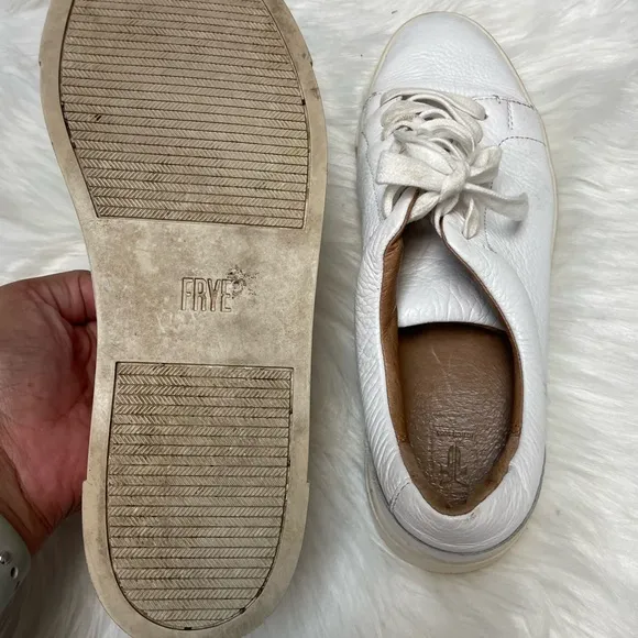 | Frye | low top sneakers. Size 8.