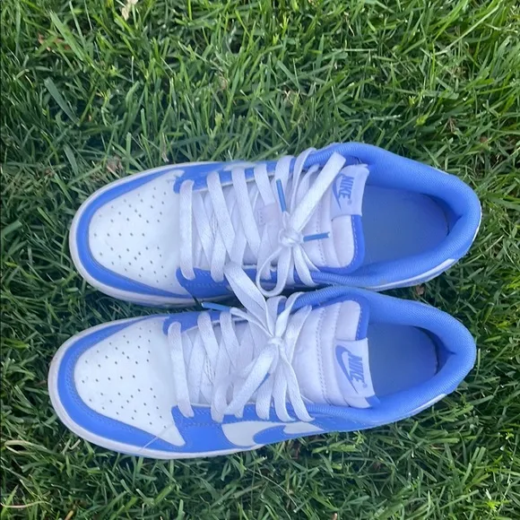 Blue Nike Dunks