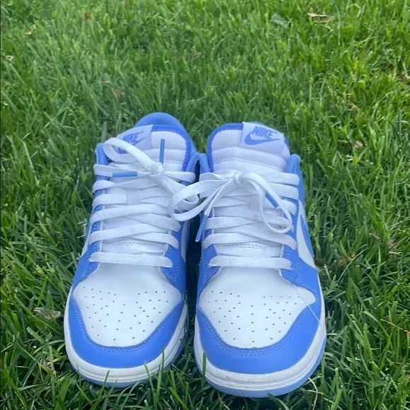 Blue Nike Dunks
