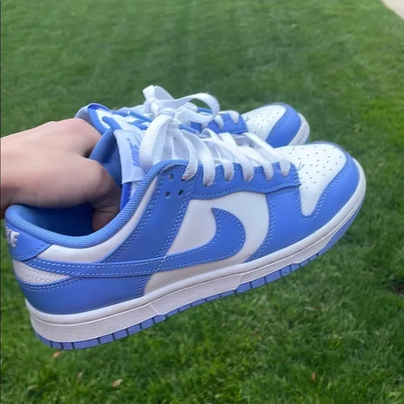 Blue Nike Dunks