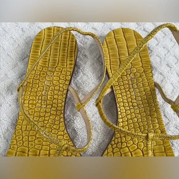 Casadei 8035 T-Strap Slingback Flat Sandals Cedro Yellow Embossed Leather 6.5