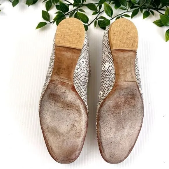 Chloé Embossed Lizard Scalloped Ballerina Leather Ballet Flats Grey 9.5