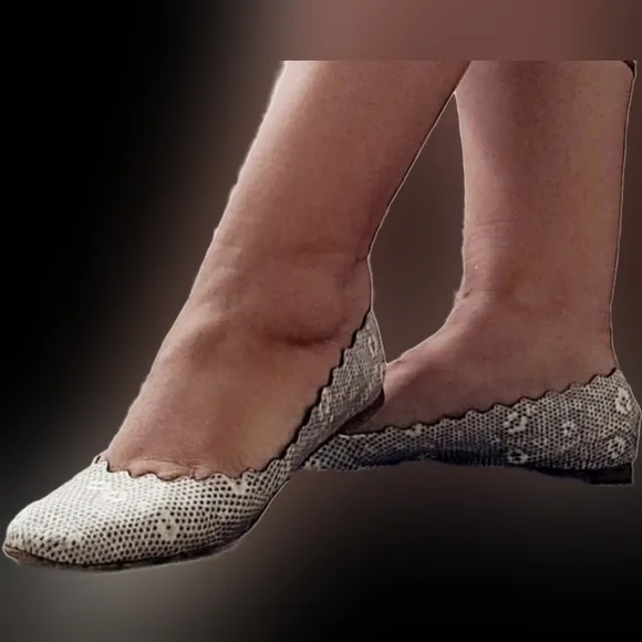 Chloe 100%Auth WomenScalloped Snakeskin Ballet Flats Genuine Leather Gray US 8.5