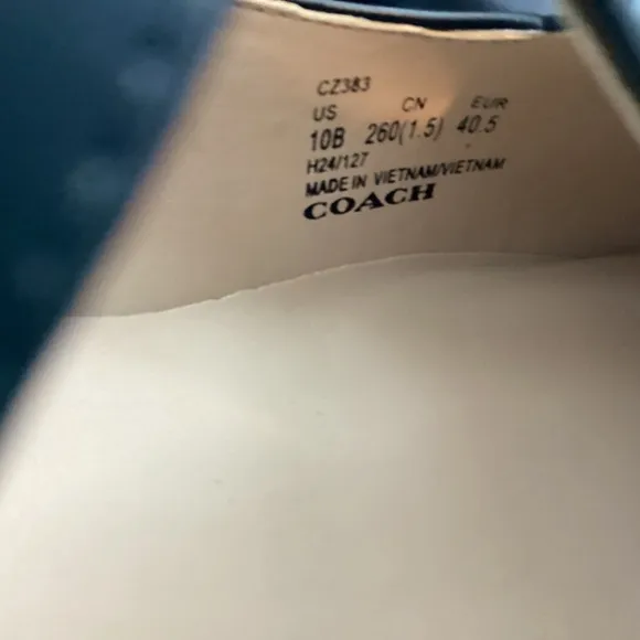 COACH Women's Liv Leather Mary Jane Flats, size 10