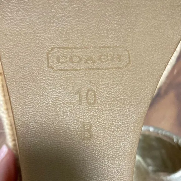 Coach Marian Metallic Silver Wood Platform Wedge Sandals w/Ankle Strap. Size 10.
