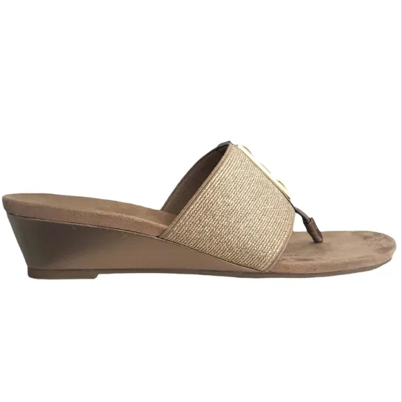 Dana Buchman Pewter Slip on Thong Sandals 9.5…