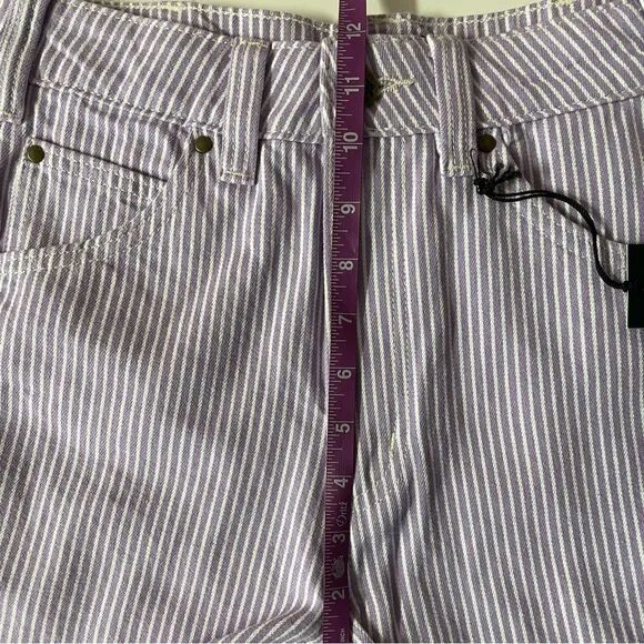 Dickies Light Purple Pin Stripe Denim Shorts