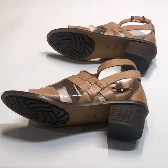 Elliot Lucca Lena Gladiator Sandals in Size 10