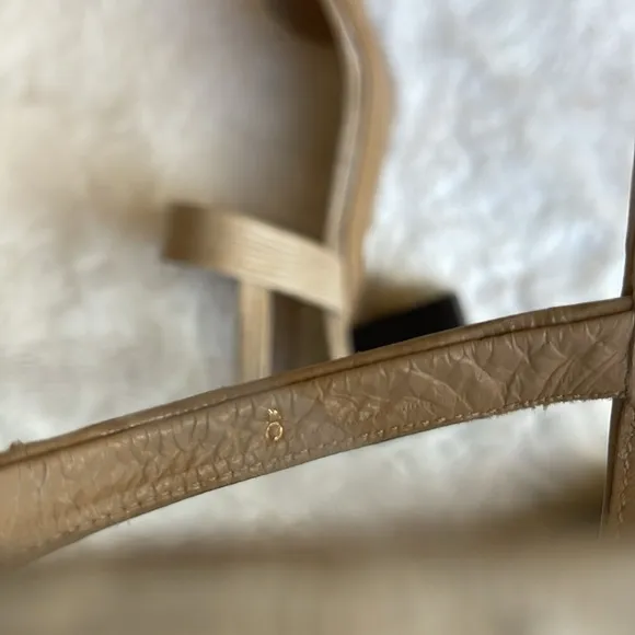 Everlane the double-strap block heel sandals