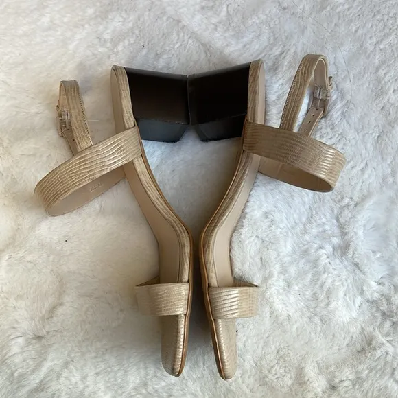 Everlane the double-strap block heel sandals