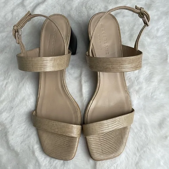 Everlane the double-strap block heel sandals