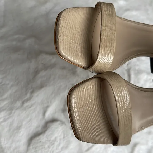 Everlane the double-strap block heel sandals