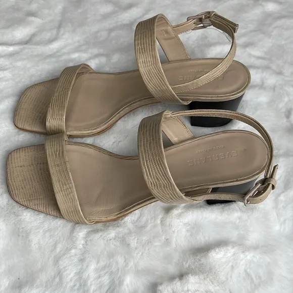 Everlane the double-strap block heel sandals