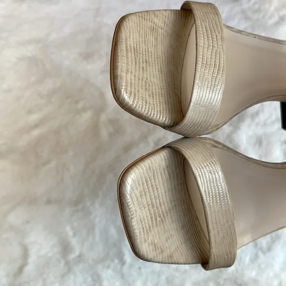Everlane the double-strap block heel sandals