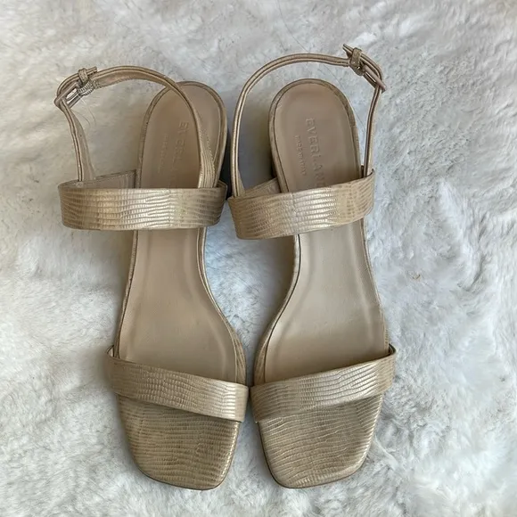 Everlane the double-strap block heel sandals