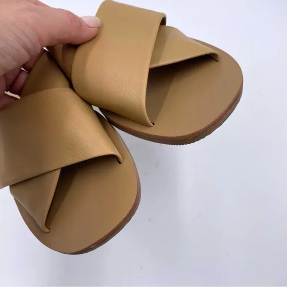NEW Everlane Light Taupe Tan Leather Day Crossover Sandal in Size 6.5