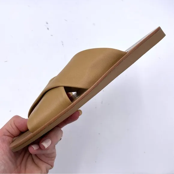 NEW Everlane Light Taupe Tan Leather Day Crossover Sandal in Size 6.5