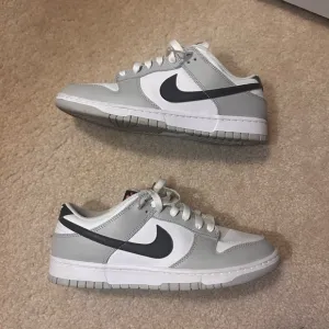 Nike dunk low lottery used