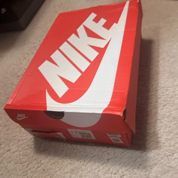 Nike dunk low lottery used