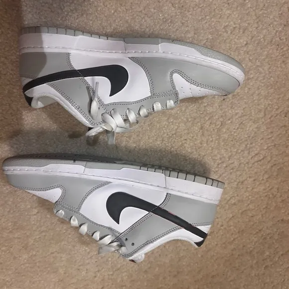 Nike dunk low lottery used