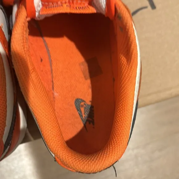 Nike Dunk Low Orange