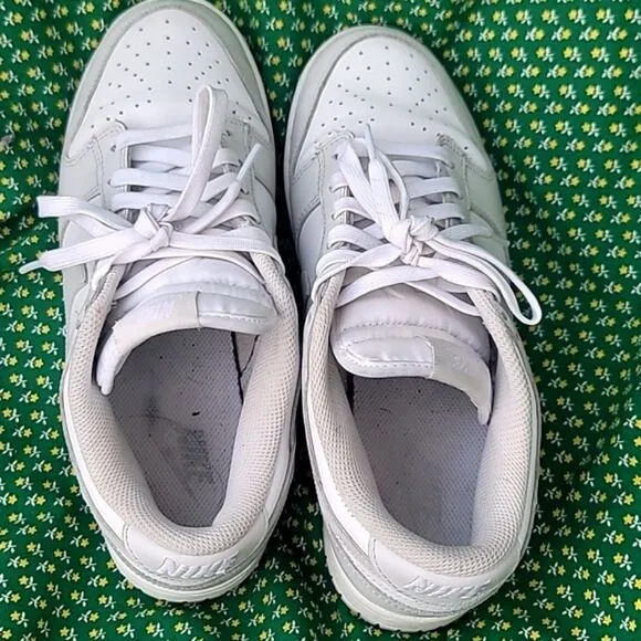 Nike Dunk Low Photon Dust Sneakers