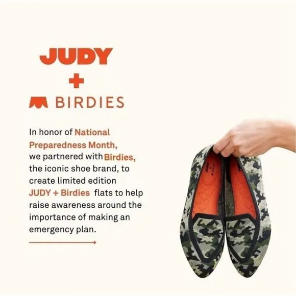 NWOB JUDY   Birdies: The Blackbird Limited-Edition Washable Flats Grey