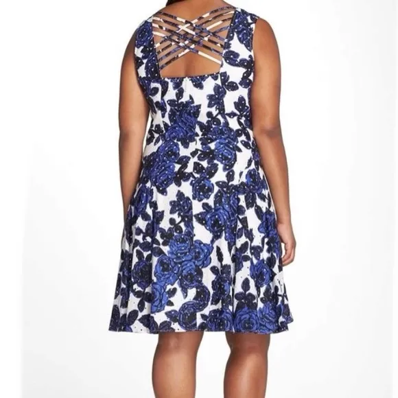 NWT Adrianna Papell Floral Fit and Flare Dress Cotton Blue White 16