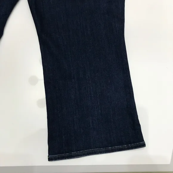 NWT Madewell Petite Plus Size Cali Demi-Boot Jeans in Danny Wash