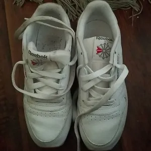 REBOOK Classic White Low Top Lace up Sneakers Size 2