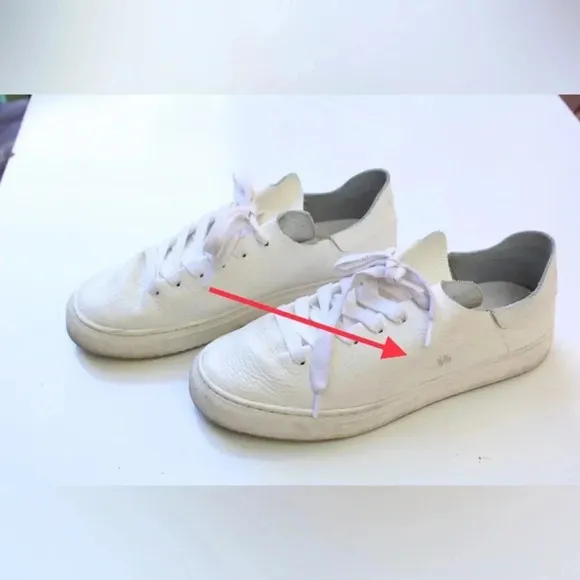 Sam Edelman Poppy sneakers