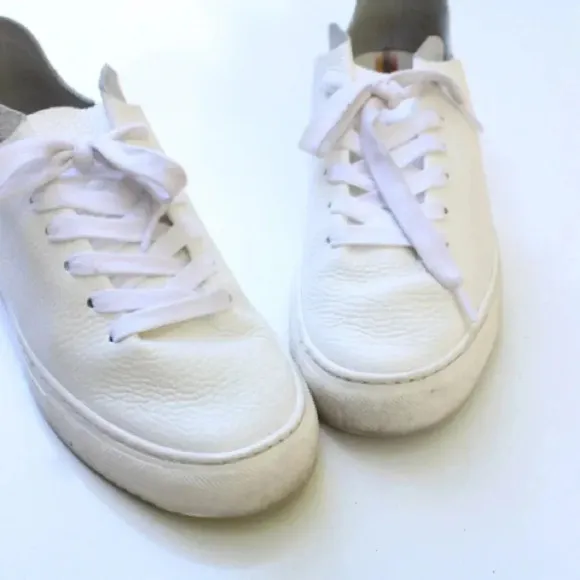 Sam Edelman Poppy sneakers