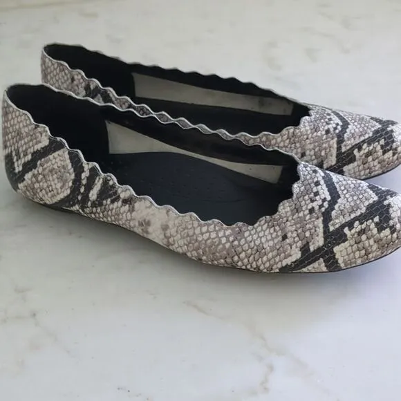 Van Eli Sancia Scalloped Leather Snake Print flats